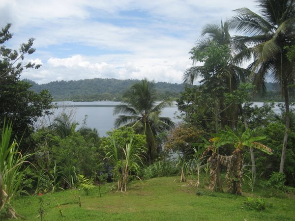 View from the house on the hill