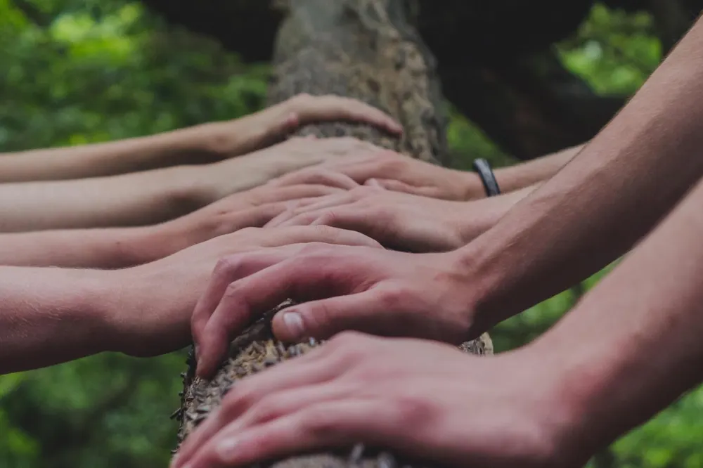 How Mangrove Serves Nonprofit Clients