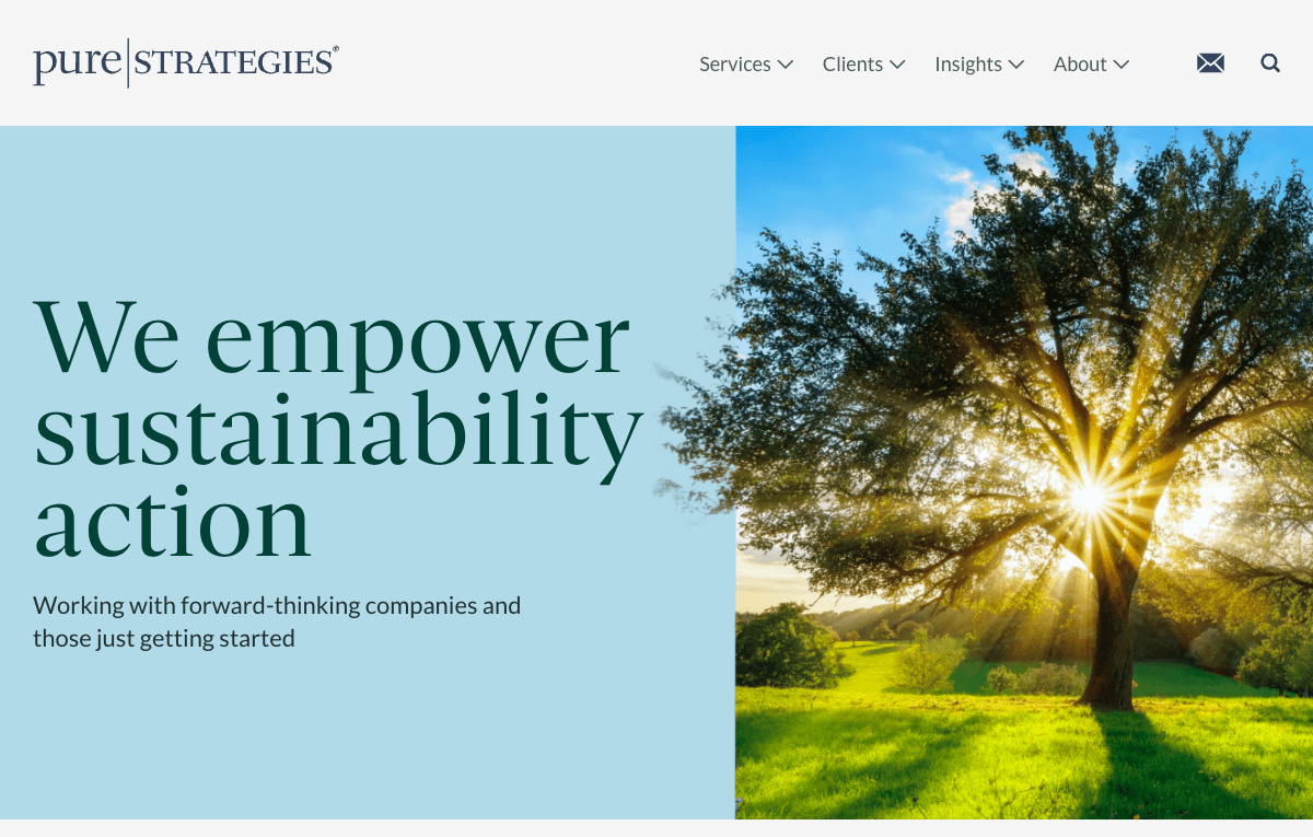 Pure Strategies homepage screenshot