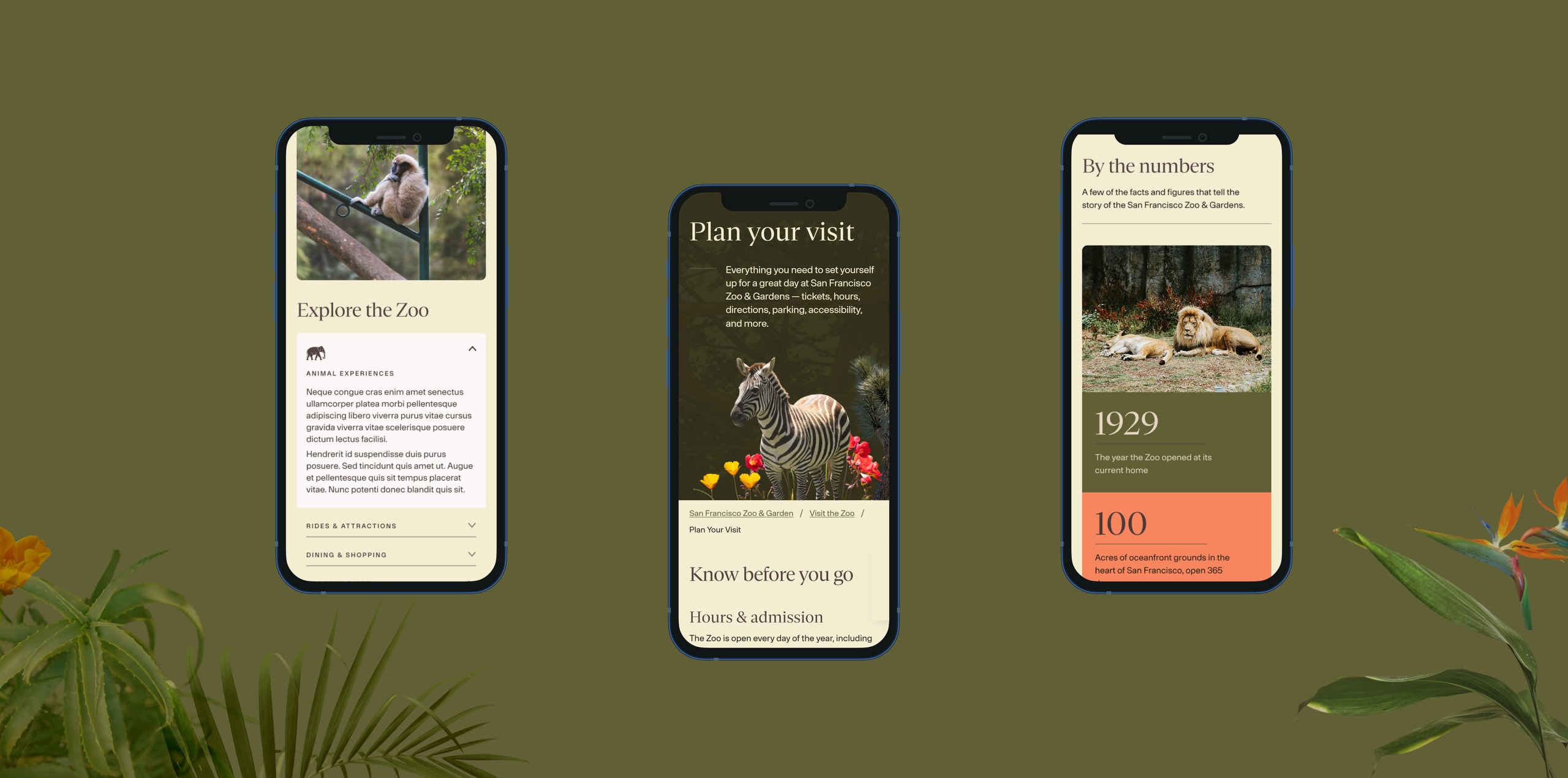 San Francisco Zoo & Gardens site on three phones showing the Explore the Zoo, Plan your visit, and By the numbers sections
