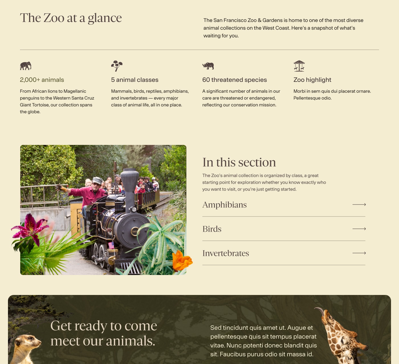 The Zoo at a glance statistics and an In this section list of animal groups beside a photo of a miniature train