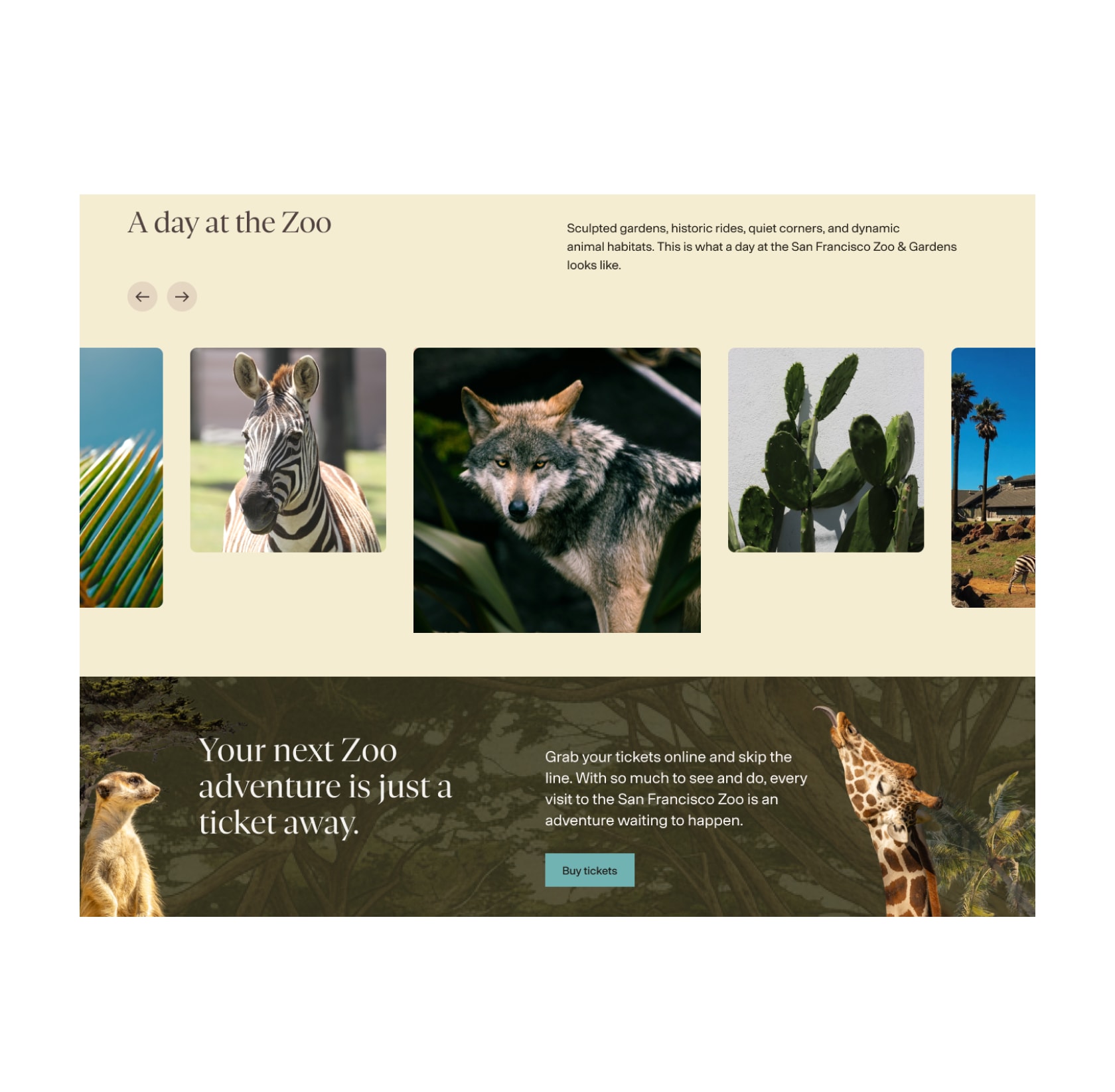 A day at the Zoo photo slider showing a zebra, a wolf, and a cactus, above a banner inviting visitors to buy tickets