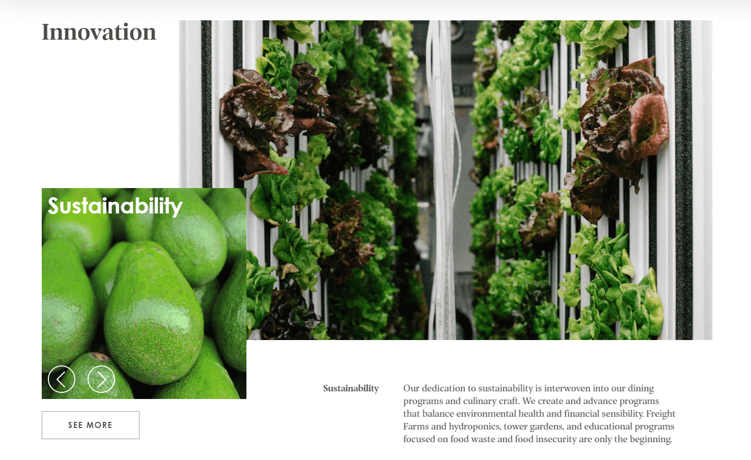 A page from Fresh Ideas Food website with green leaves and fruits showing they are working for innovation and sustainability