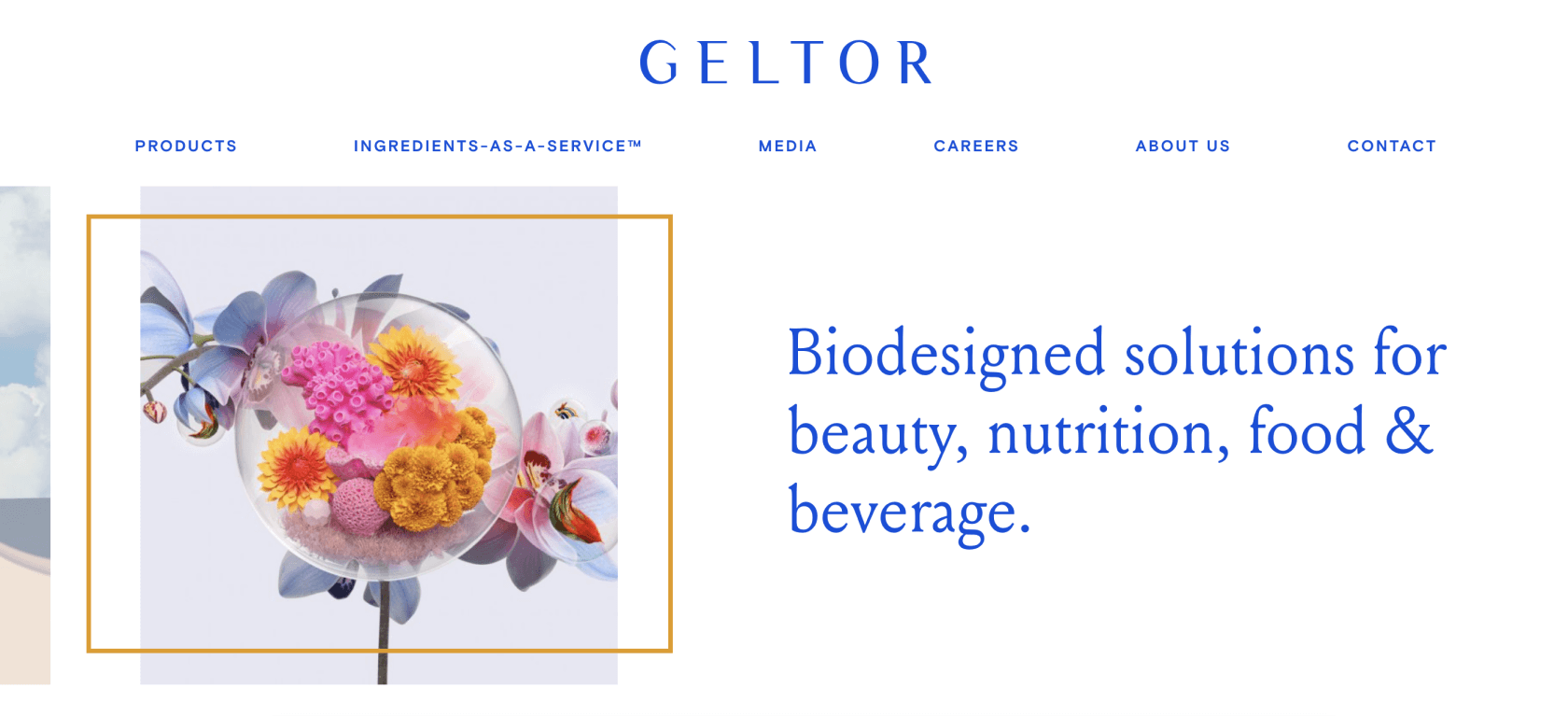 A page from Geltor showing Biodesigned solutions for beauty, nutrition, food and beverage