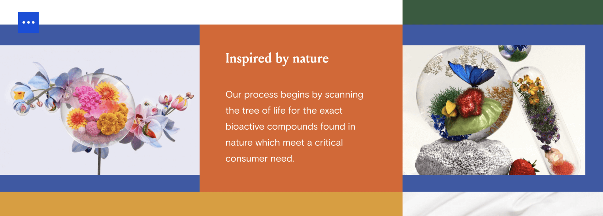 A page from Geltor website inspired by nature