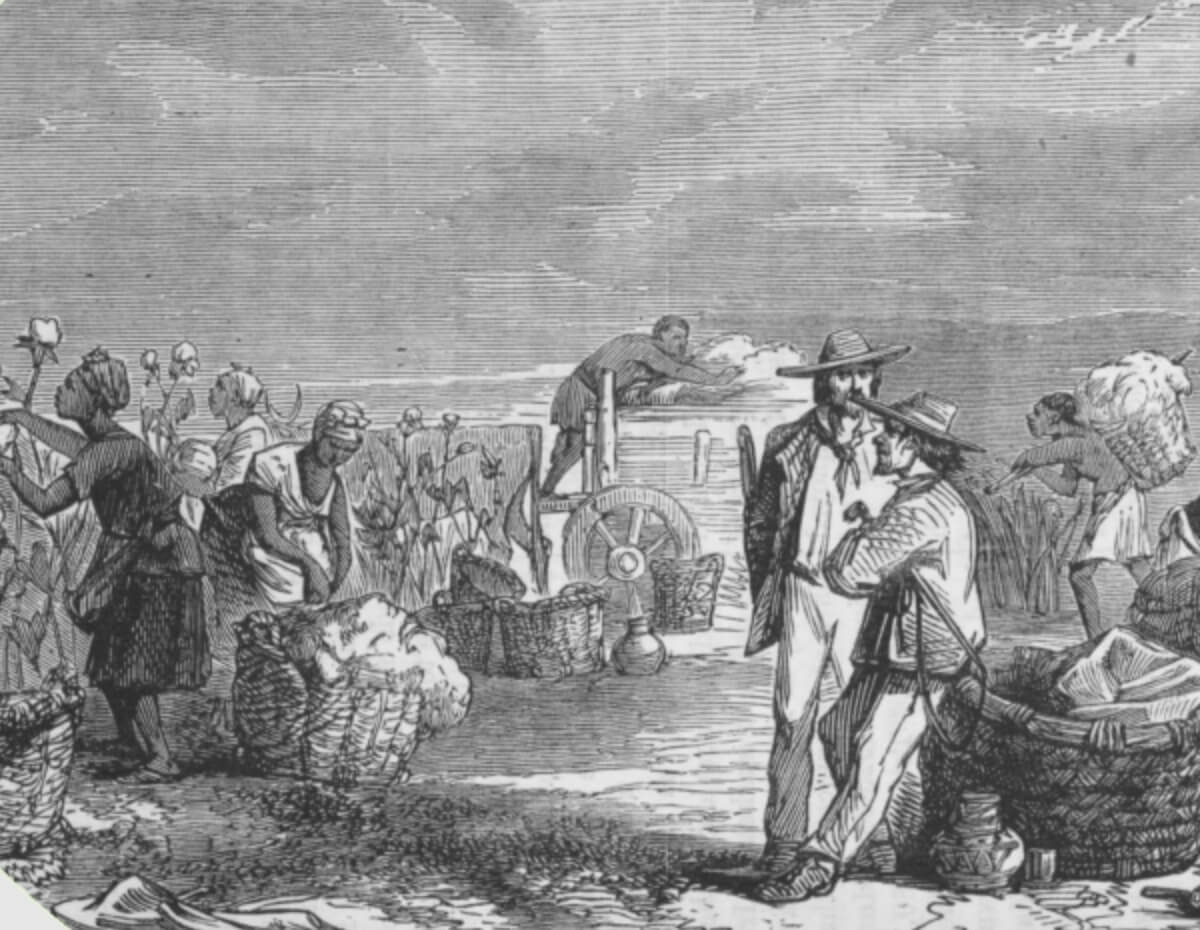 historical image of cotton plantation