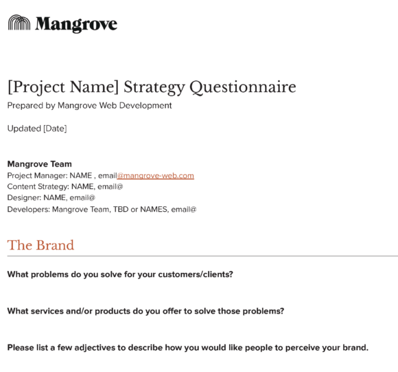 Screenshot of Mangrove discovery call questionnaire