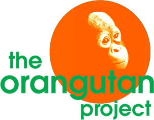 The Orangutan Project logo