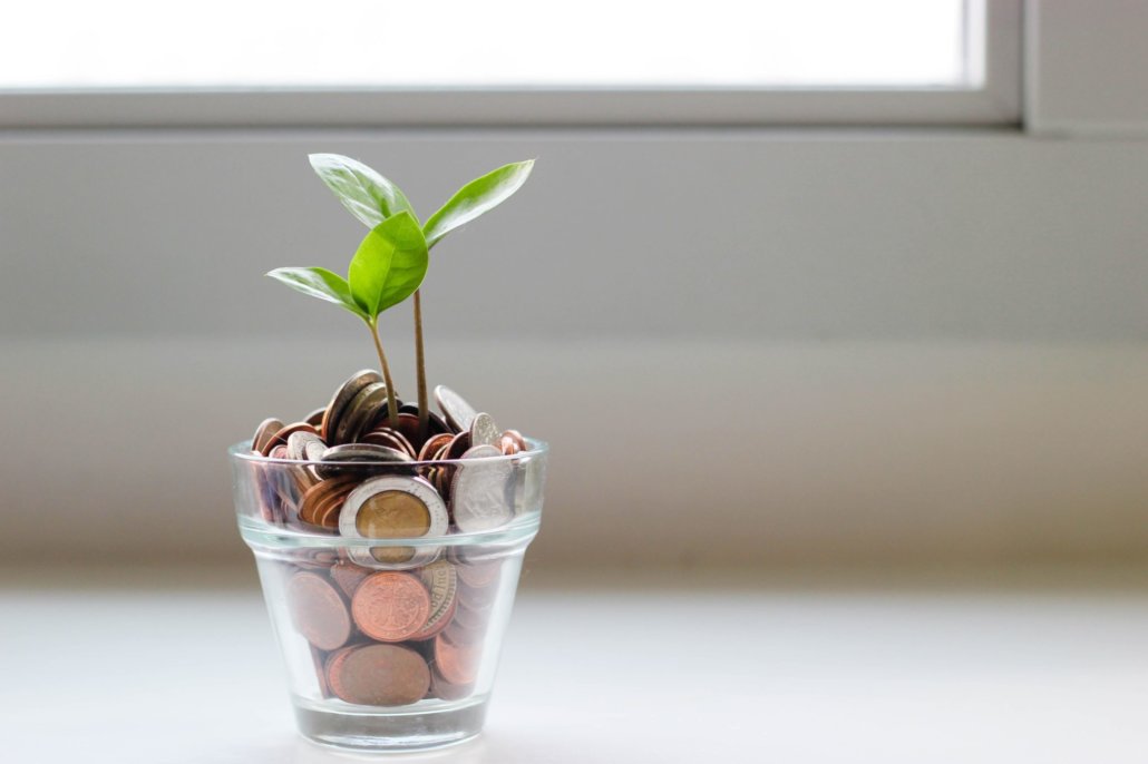 Small green plant in clear glass pot with coins.