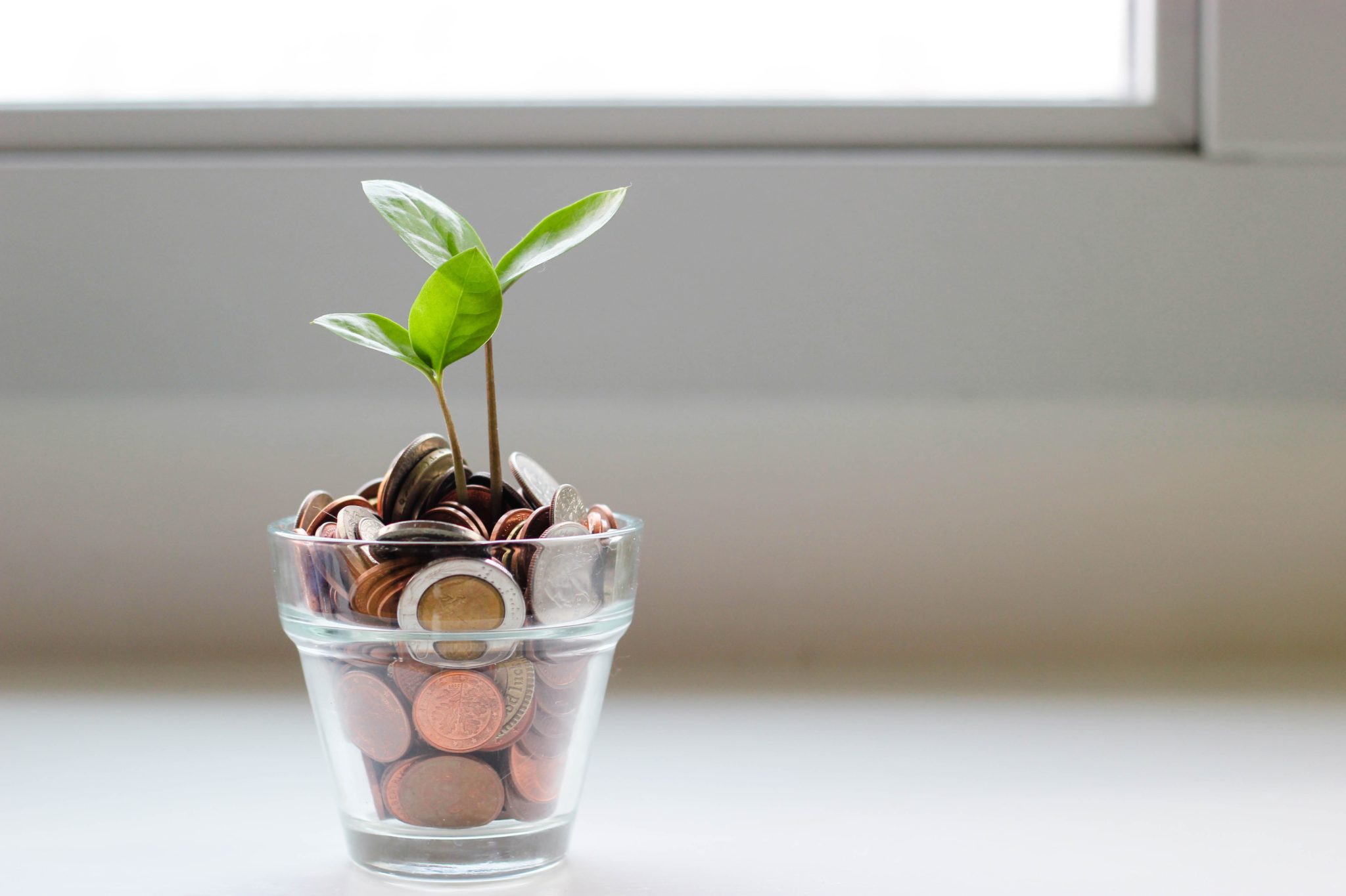 Small green plant in clear glass pot with coins.