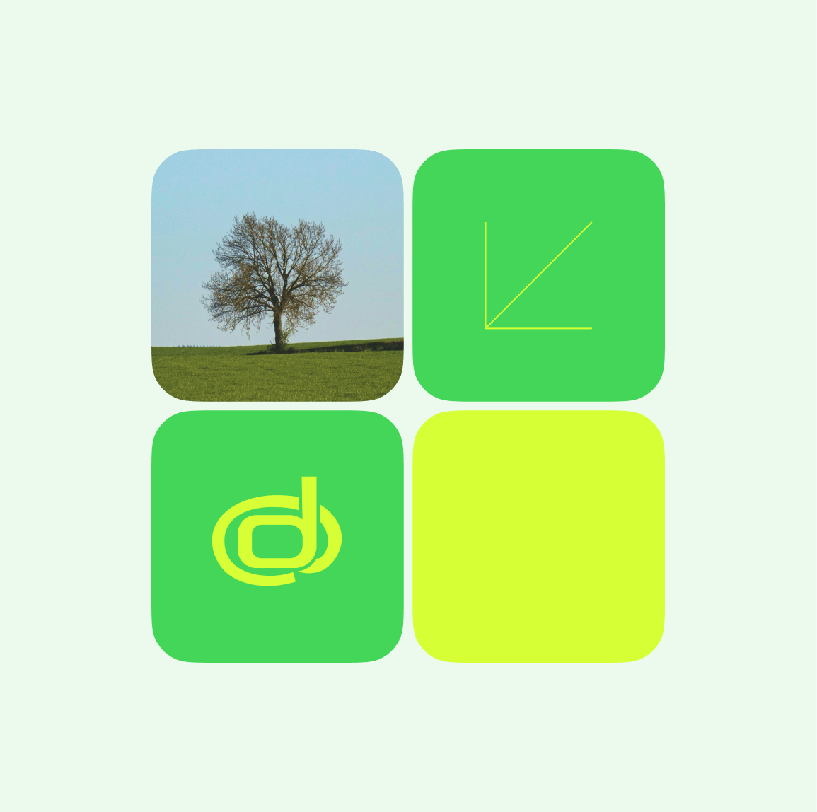 Four icons for Dmarcia in green; a tree, an downward arrow to the left, Dmarcian logo and plain neon green box