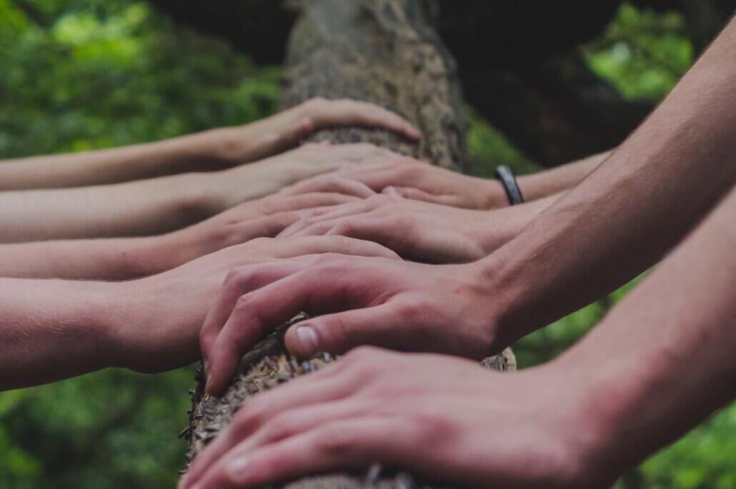 A group of hands placed on top of a tree trunk.