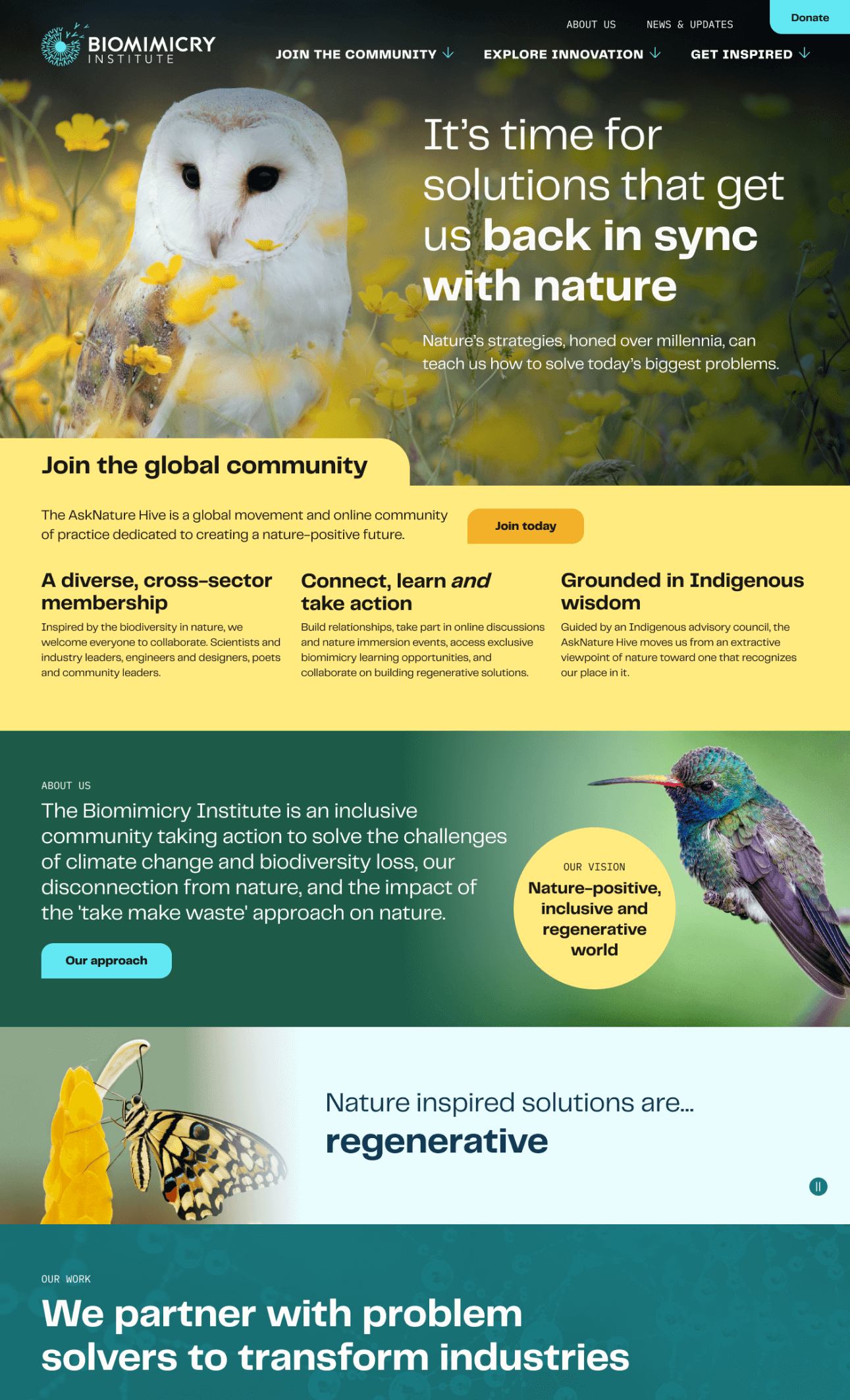 Biomimicry home page screenshot