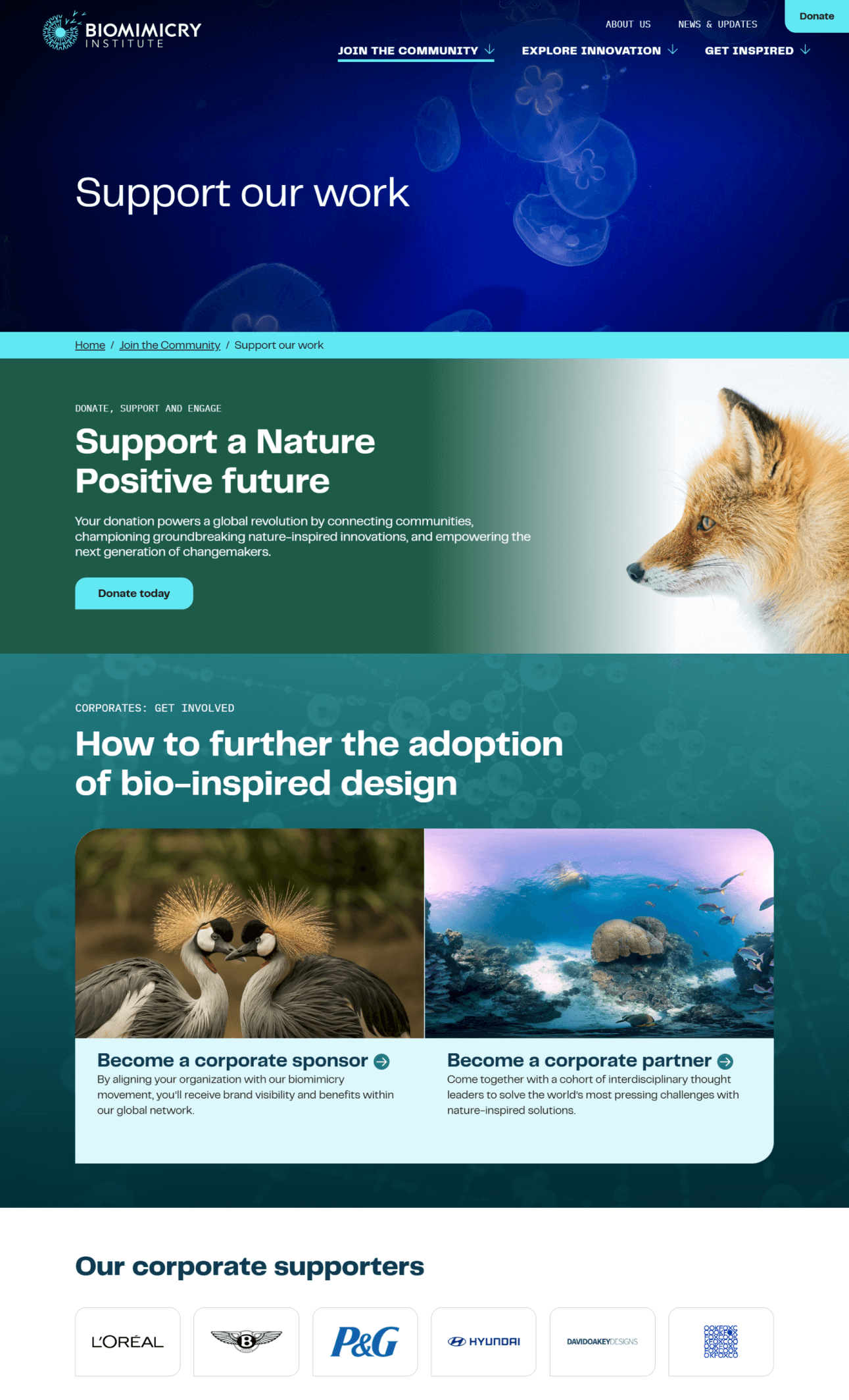 Biomimicry donate page screenshot