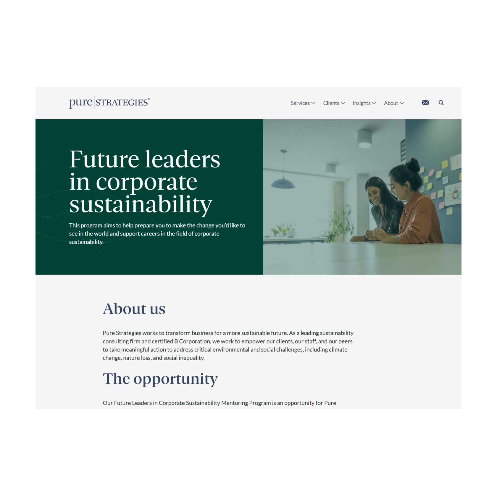 Pure Strategies mentorship page screenshot