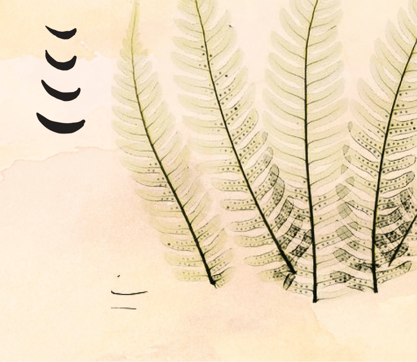 Hemera cover image